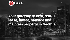 Geo Silk Real Estate